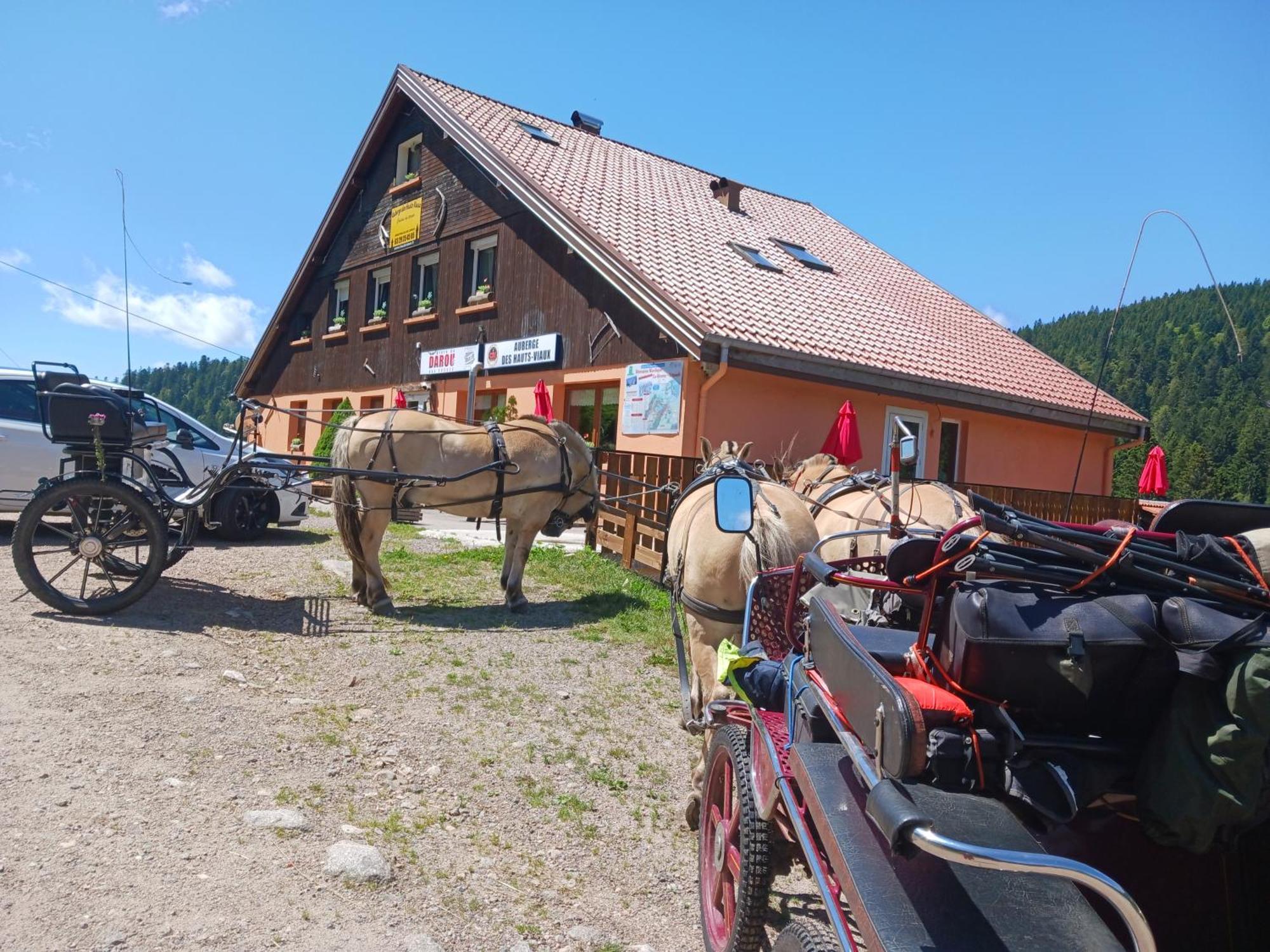 Domaine Des Hauts Viaux Ла Брес Екстериор снимка