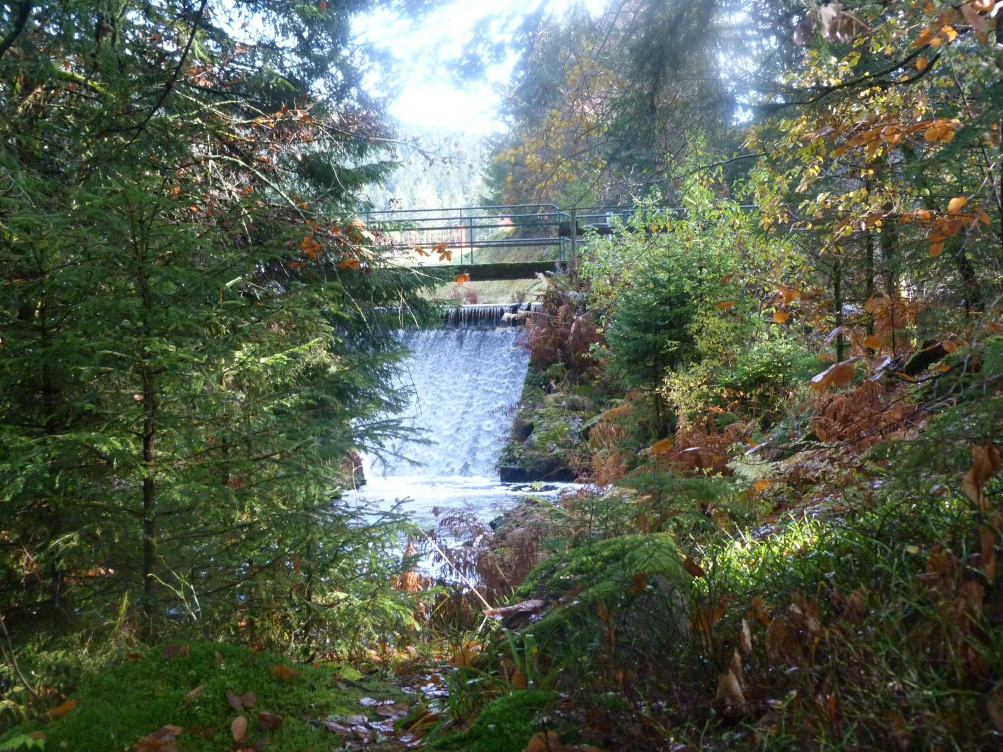 Domaine Des Hauts Viaux Ла Брес Екстериор снимка