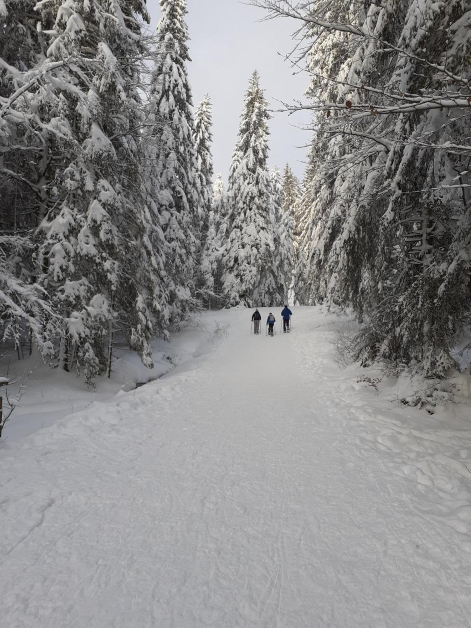 Domaine Des Hauts Viaux Ла Брес Екстериор снимка