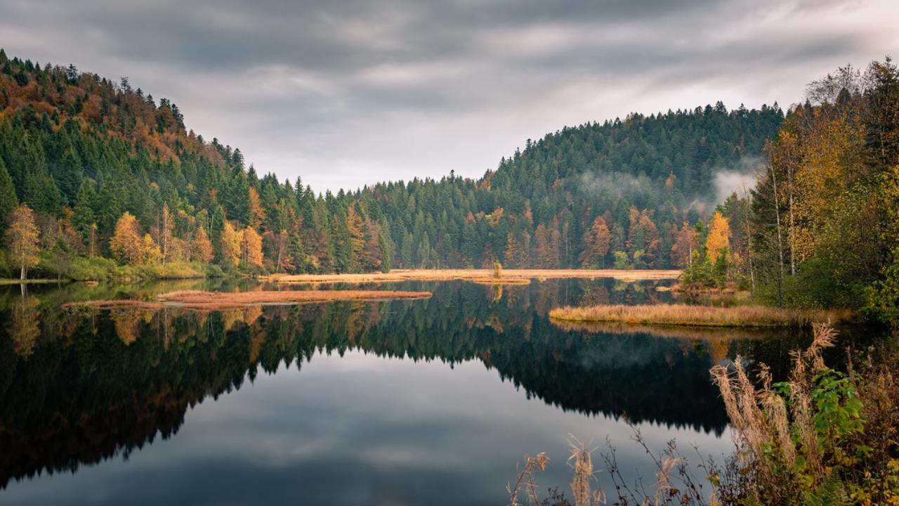Domaine Des Hauts Viaux Ла Брес Екстериор снимка