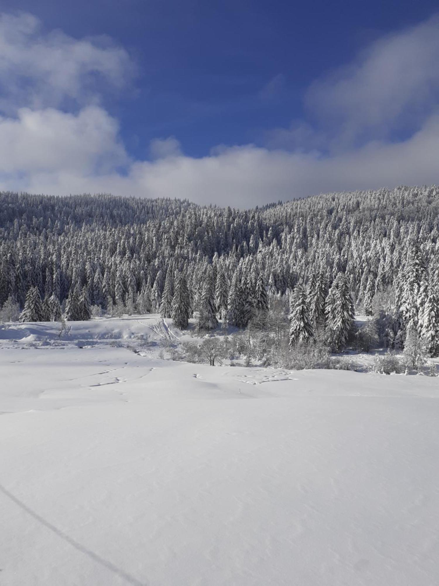 Domaine Des Hauts Viaux Ла Брес Екстериор снимка