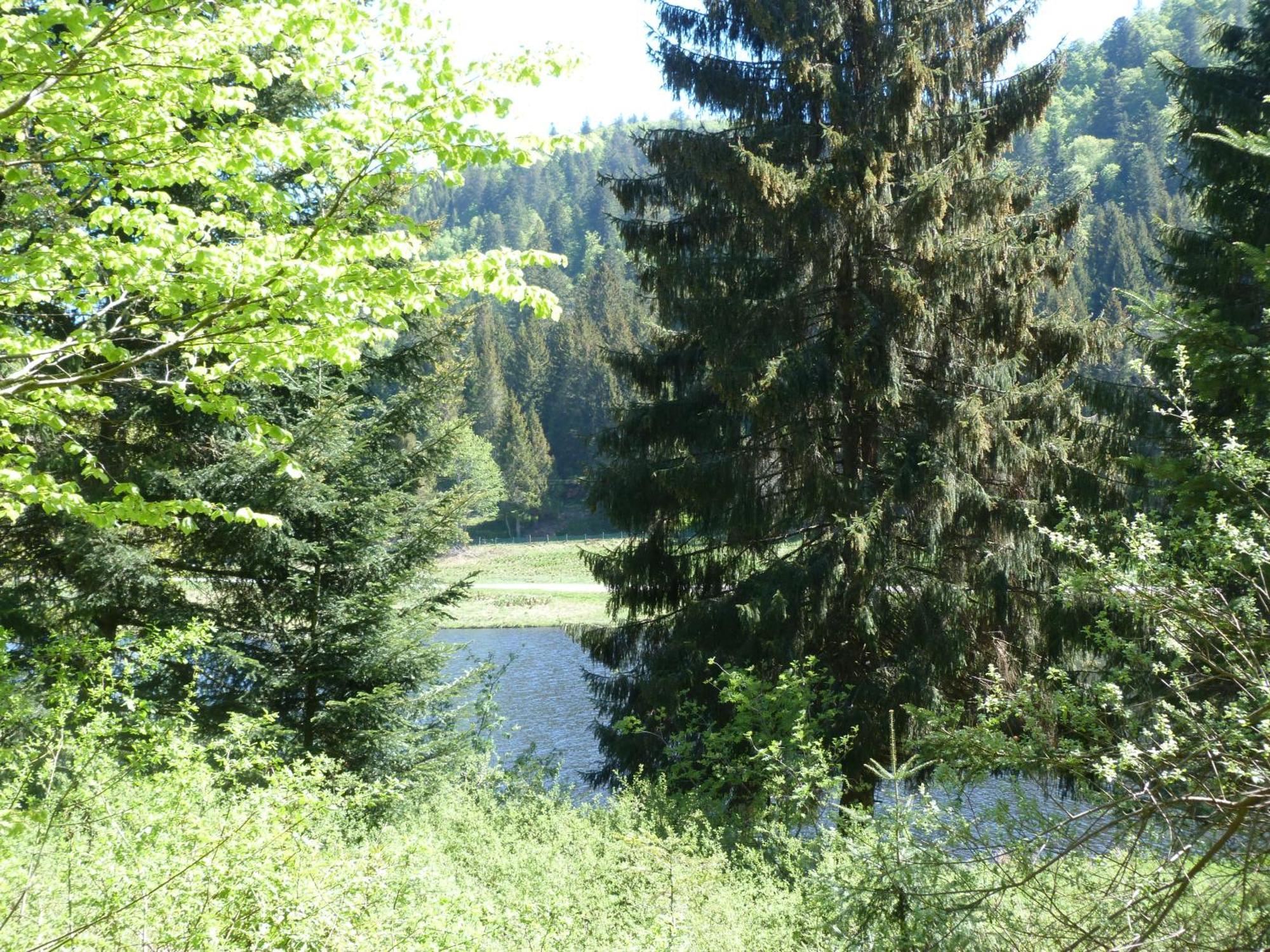 Domaine Des Hauts Viaux Ла Брес Екстериор снимка