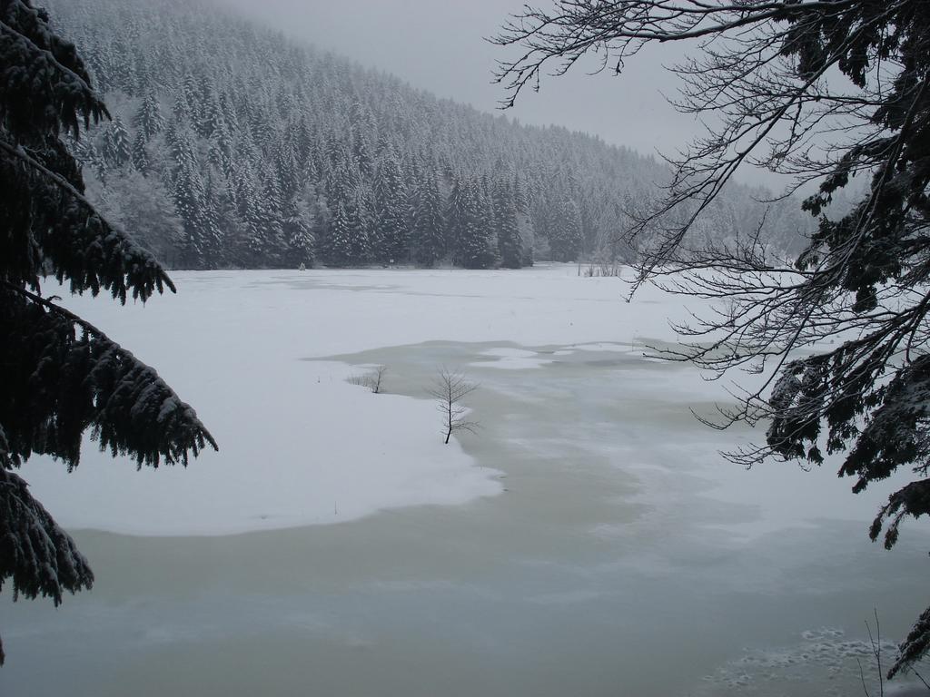 Domaine Des Hauts Viaux Ла Брес Екстериор снимка