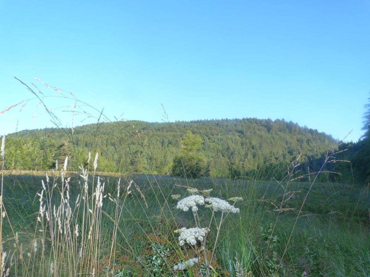 Domaine Des Hauts Viaux Ла Брес Екстериор снимка